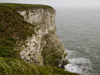 Bempton Cliffs and Sanctuary